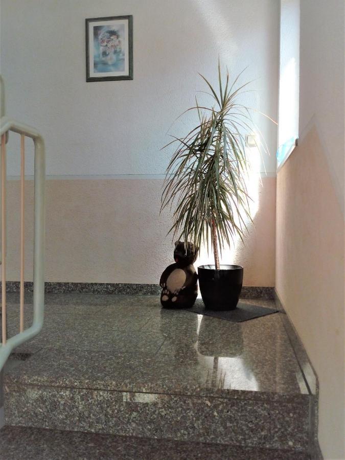 Ferienwohnung Jungbaer - Die Wohlfuehl-Adresse Im Stangenwald ซังคท์อิงแบร์ท ภายนอก รูปภาพ